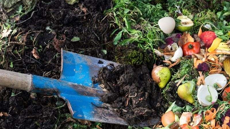 Why is Organic Waste Important