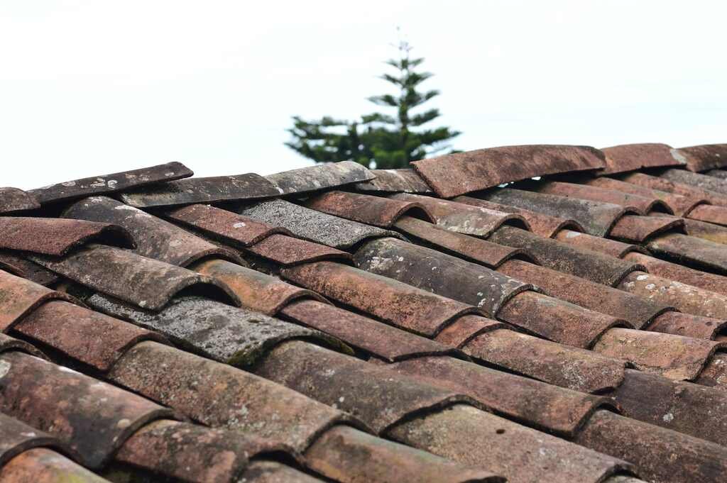 Why to Hire Professional Roofers to Deal with Roof Repairs
