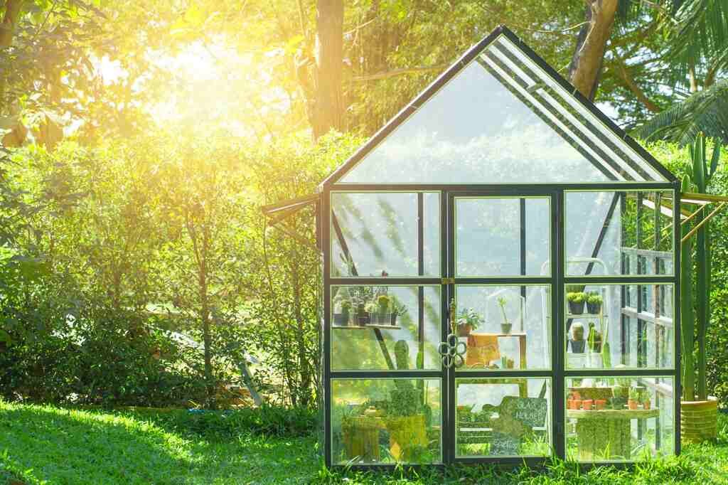 Potting Shed vs. Greenhouse