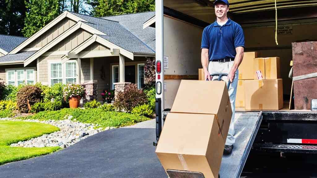 Discovering Reliability with New Zealand's Movers