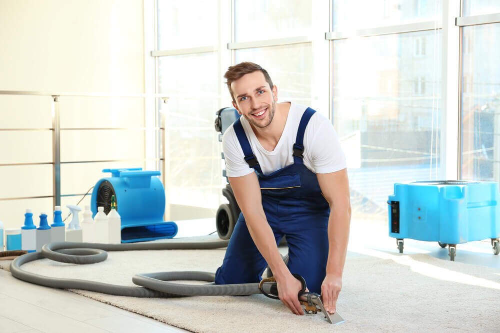 Things to Look for Carpet Cleaning Services