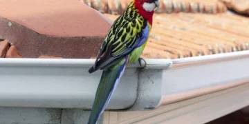 causes of gutter damage in homes