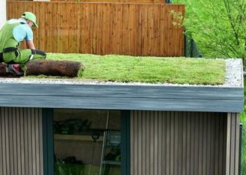 Addressing Water Inequality in Green Roofing