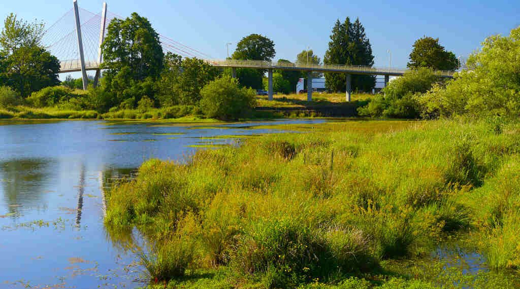 Mitigation Hierarchy