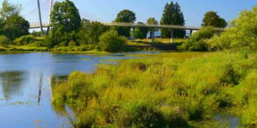 Mitigation Hierarchy