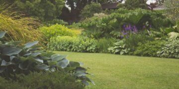Eco-Friendly Landscaping Ideas
