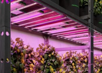 Supplemental Grow Light
