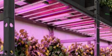 Supplemental Grow Light